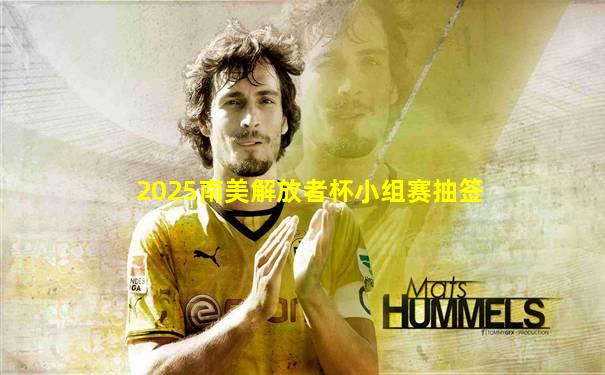 2025南美解放者杯小组赛抽签