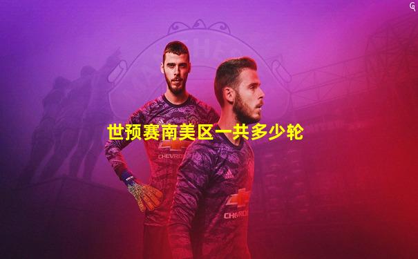 世预赛南美区一共多少轮