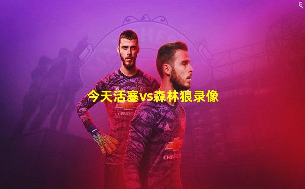 今天活塞vs森林狼录像