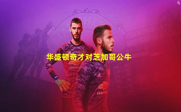 华盛顿奇才对芝加哥公牛