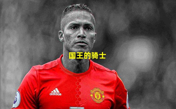 国王的骑士