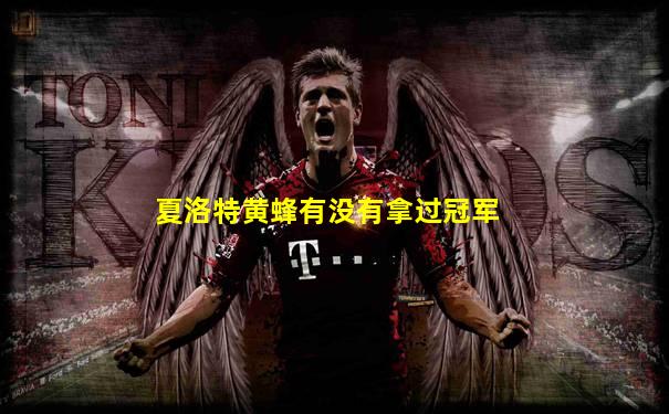 夏洛特黄蜂有没有拿过冠军