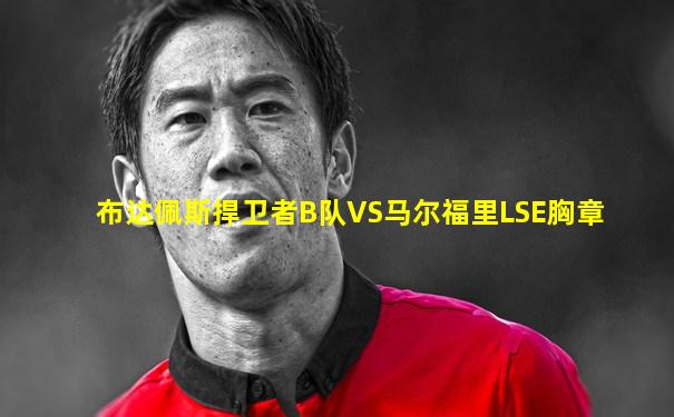 布达佩斯捍卫者B队VS马尔福里LSE胸章