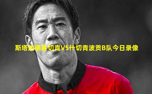 斯塔加德甚切青VS什切青波贡B队今日录像