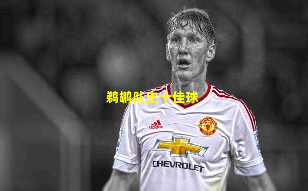 鹈鹕队史十佳球